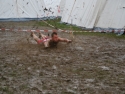 dsc_0206-lq