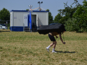 DSC1244