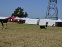 DSC1245