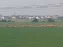 LiHo_IMG-20210605-WA0092