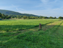 IMG_20250509_075829